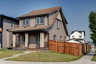 Photo 24: 4 Copperpond Parade SE in Calgary: Copperfield Detached for sale : MLS®# A2085346