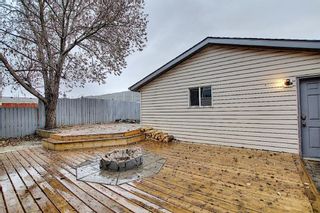 Photo 43: 312 Mt Aberdeen Close SE in Calgary: McKenzie Lake Detached for sale : MLS®# A1046407