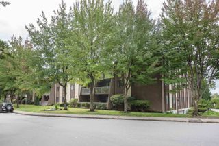 Photo 18: 213 3921 CARRIGAN Court in Burnaby: Government Road Condo for sale in "LOUGHEED ESTATES" (Burnaby North)  : MLS®# R2619232