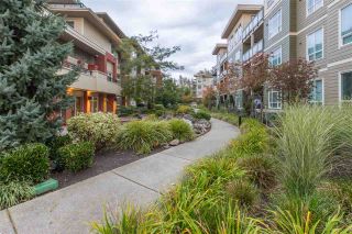 Photo 20: B201 20211 66 Avenue in Langley: Willoughby Heights Condo for sale in "Elements" : MLS®# R2412184
