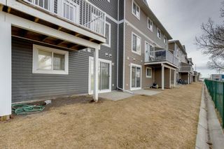 Photo 43: 603 800 Yankee Valley Boulevard SE: Airdrie Row/Townhouse for sale : MLS®# A1202879