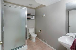 Photo 28: 28 Edenstone View NW in Calgary: Edgemont Detached for sale : MLS®# A2124694