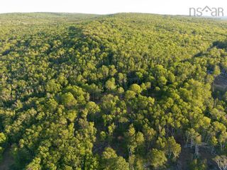 Photo 8: 2541 Broad Cove Road in Bay View: Digby County Vacant Land for sale (Annapolis Valley)  : MLS®# 202312775