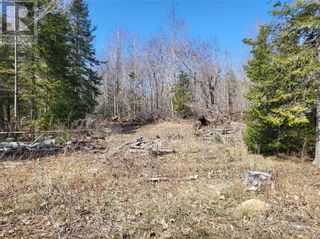 Photo 7: PT 3 Off Mason Line in Silver Water, Manitoulin Island: Vacant Land for sale : MLS®# 2110534