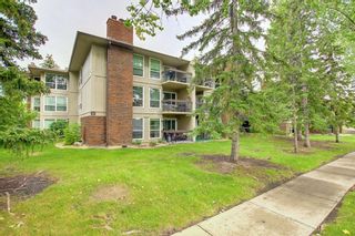 Photo 30: 213 860 Midridge Drive SE in Calgary: Midnapore Apartment for sale : MLS®# A1241249