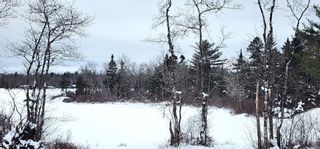 Photo 5: 191 Charlton Road in West Springhill: Annapolis County Vacant Land for sale (Annapolis Valley)  : MLS®# 202402314