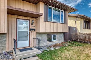 Photo 3: 3816 Dover Ridge Drive SE in Calgary: Dover Detached for sale : MLS®# A2124560