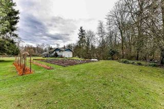 Photo 6: 19834 80 Avenue in Langley: Willoughby Heights House for sale in "Jericho Neighborhood Plan" : MLS®# R2232726