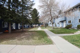 Photo 23: 30 251 90 Avenue SE in Calgary: Acadia Row/Townhouse for sale : MLS®# A1212361