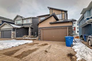 Photo 39: 208 Dawson Harbour Heights: Chestermere Detached for sale : MLS®# A2118825