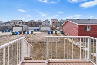 Photo 39: 459 Savanna Boulevard NE in Calgary: Saddle Ridge Semi Detached (Half Duplex) for sale : MLS®# A2115342