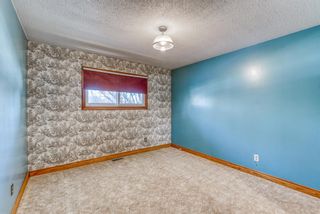 Photo 19: 345 Whitney Crescent SE in Calgary: Willow Park Detached for sale : MLS®# A1061580