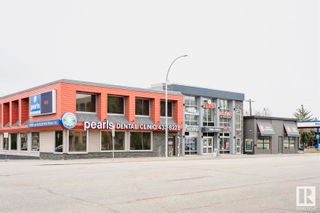 Photo 47: 10933 69 Avenue in Edmonton: Zone 15 House for sale : MLS®# E4394957