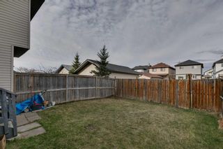 Photo 30: 49 Tarington Landing NE in Calgary: Taradale Semi Detached (Half Duplex) for sale : MLS®# A2119745