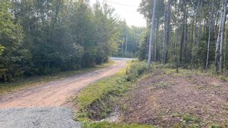 Photo 3: 4319 Gairloch Road in Union Centre: 108-Rural Pictou County Vacant Land for sale (Northern Region)  : MLS®# 202222418