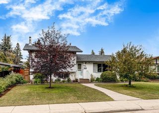 Photo 1: 406 Astoria Crescent SE in Calgary: Acadia Detached for sale : MLS®# A2074918