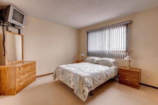 Photo 23: 147 Templevale Place NE in Calgary: Temple Detached for sale : MLS®# A1144568
