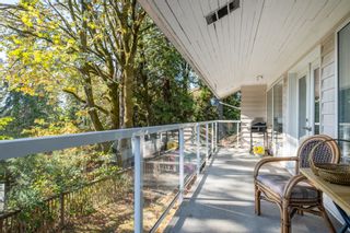 Photo 27: 1290 QUEENS Avenue in West Vancouver: British Properties House for sale : MLS®# R2861182