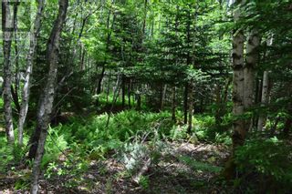Photo 47: Lot 2 Blue Rocks Road in Garden Lots: Vacant Land for sale : MLS®# 202311970