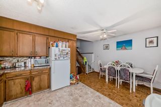 Photo 6: 1028 Mckinnon Drive NE in Calgary: Mayland Heights Detached for sale : MLS®# A2127341