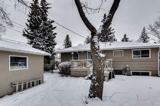Photo 43: 4232 5 Avenue SW in Calgary: Wildwood Detached for sale : MLS®# A2021489