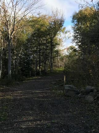 Photo 7: Lot Culloden Road in Culloden: 401-Digby County Vacant Land for sale (Annapolis Valley)  : MLS®# 202125188
