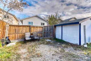 Photo 26: 11 Erin Green Place SE in Calgary: Erin Woods Detached for sale : MLS®# A2009889
