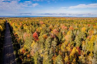 Photo 4: Lot 2 Hiltz Road in Mountain Front: Kings County Vacant Land for sale (Annapolis Valley)  : MLS®# 202300795
