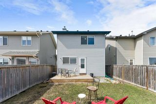 Photo 26: 166 Cramond Circle SE in Calgary: Cranston Detached for sale : MLS®# A2126050