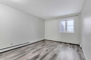 Photo 12: 2034 2034 Edenwold Heights NW in Calgary: Edgemont Apartment for sale : MLS®# A2111773