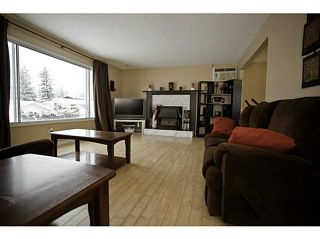 Photo 5: 400 DODWELL Street in Williams Lake: Williams Lake - City House for sale (Williams Lake (Zone 27))  : MLS®# N232749