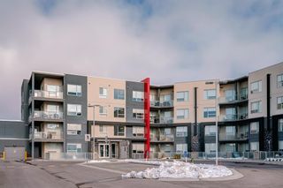 Main Photo: 307 8530 8A Avenue SW in Calgary: West Springs Apartment for sale : MLS®# A2008717