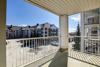 Photo 11: 4317 10 Prestwick Bay SE in Calgary: McKenzie Towne Apartment for sale : MLS®# A1201814