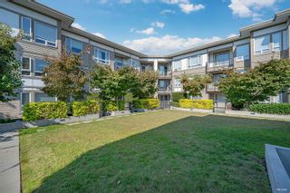 Photo 21: 223 12339 STEVESTON Highway in Richmond: Ironwood Condo for sale in "MAGNOLIA AT THE GARDENS" : MLS®# R2816963