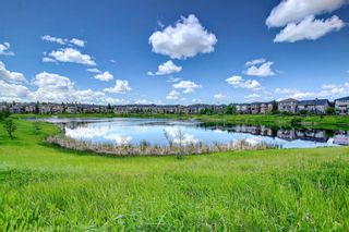 Photo 6: 109 Panatella Green NW in Calgary: Panorama Hills Detached for sale : MLS®# A2045435