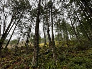 Photo 10: 1805 CAPE Drive: Bowen Island Land for sale in "The Cape on Bowen" : MLS®# R2665278