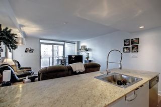 Photo 4: 408 1110 11 Street SW in Calgary: Beltline Apartment for sale : MLS®# A1250476