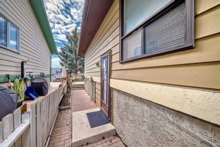 Photo 31: 19 Falchurch Road NE in Calgary: Falconridge Semi Detached (Half Duplex) for sale : MLS®# A2124715
