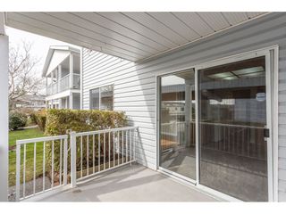 Photo 18: 181 32691 GARIBALDI Drive in Abbotsford: Abbotsford West Townhouse for sale in "Carriage Lane" : MLS®# R2349295