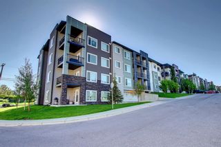 Photo 39: 304 12 Sage Hill Terrace NW in Calgary: Sage Hill Apartment for sale : MLS®# A1238689