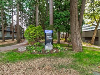 Photo 37: 309 15111 RUSSELL Avenue: White Rock Condo for sale in "Pacific Terrace" (South Surrey White Rock)  : MLS®# R2729165