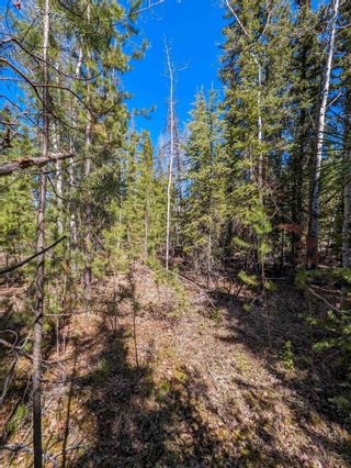 Photo 8: Lot C INMAN Road: Lone Butte Land for sale (100 Mile House)  : MLS®# R2881679