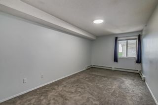 Photo 22: 417 1717 60 Street SE in Calgary: Red Carpet Apartment for sale : MLS®# A2053930