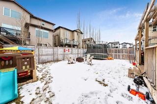 Photo 36: 349 Kingsbury View SE: Airdrie Detached for sale : MLS®# A1186033