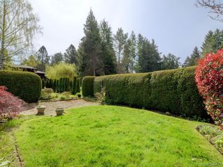 Photo 17: 7 4630 Lochside Dr in VICTORIA: SE Broadmead Row/Townhouse for sale (Saanich East)  : MLS®# 784676