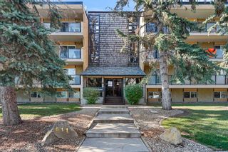 Photo 1: 303 617 56 Avenue SW in Calgary: Windsor Park Apartment for sale : MLS®# A2068870