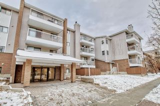 Photo 34: 401 930 18 Avenue SW in Calgary: Lower Mount Royal Apartment for sale : MLS®# A2014448