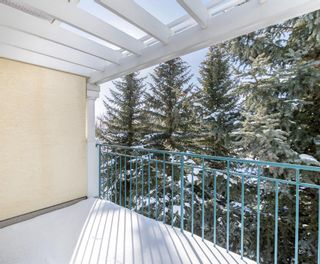 Photo 33: 322 2144 Paliswood Road SW in Calgary: Palliser Apartment for sale : MLS®# A2033601