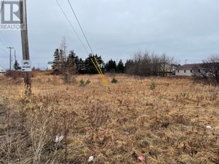 Photo 1: 93 West Street AND 17 Boland Drive in Stephenville: Vacant Land for sale : MLS®# 1261092