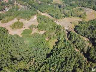 Photo 14: 8-51305 RGE RD 261: Rural Parkland County Vacant Lot/Land for sale : MLS®# E4385762